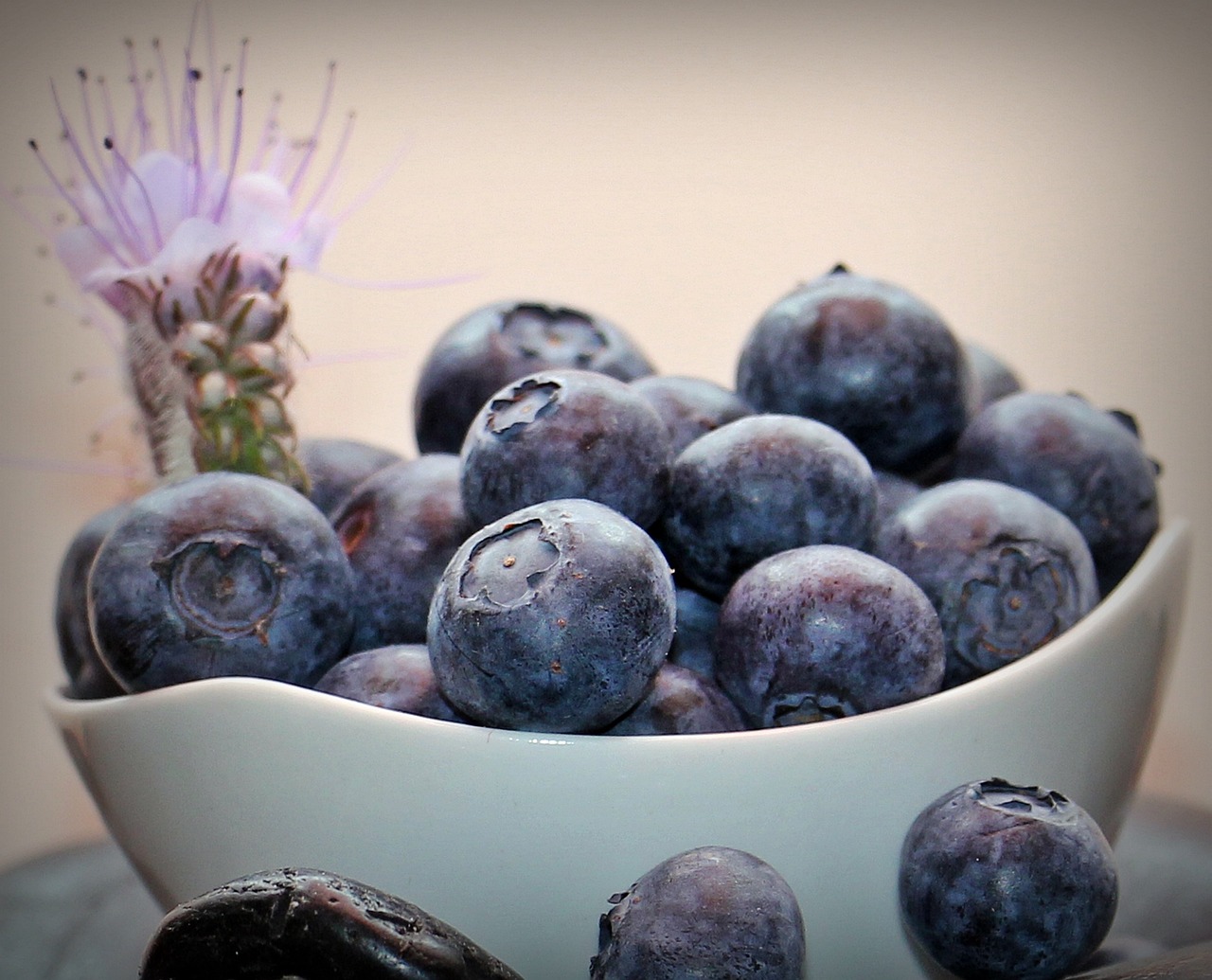 Using Berries from Your Garden to Create Natural Dyes